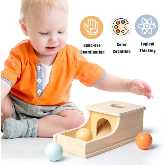 Montessori Infant Wooden Toys